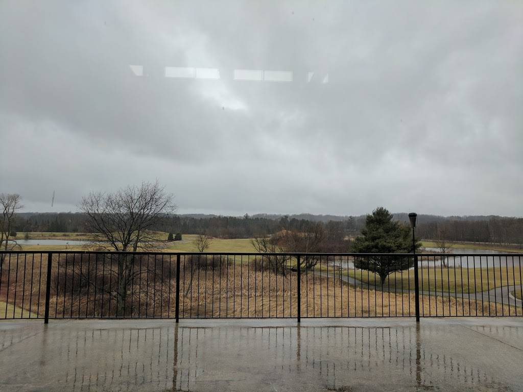 Cadillac Grill | restaurant | 7839 46 1/2 Rd, Cadillac, MI 49601, USA | 2317793663 OR +1 231-779-3663