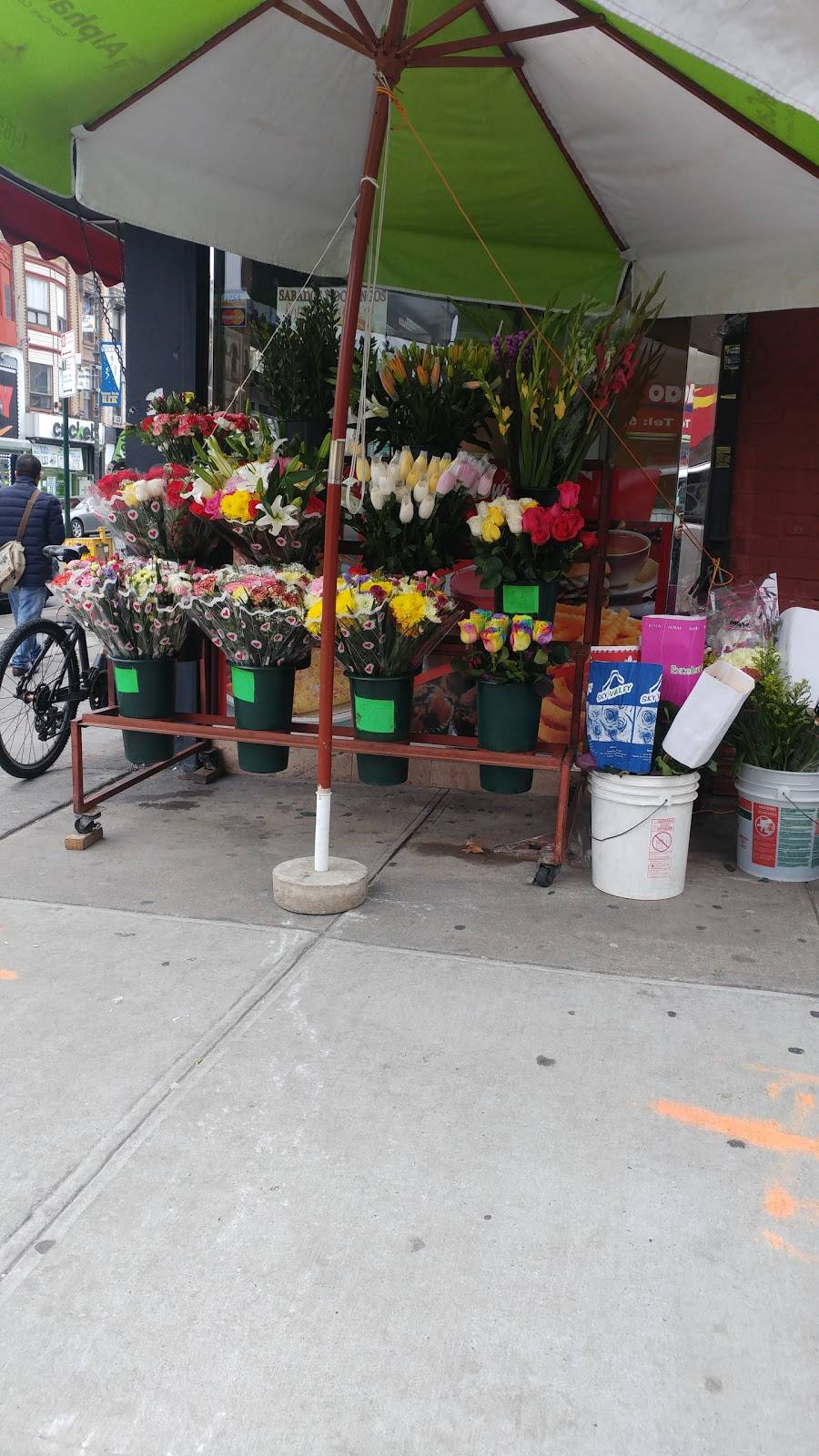 Sunset | restaurant | 5423 5th Ave, Brooklyn, NY 11220, USA | 7184921566 OR +1 718-492-1566