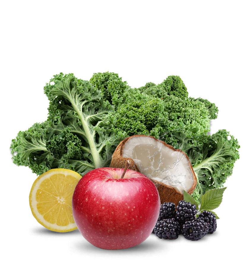 GreenSurge | restaurant | 2301 Market St, San Francisco, CA 94114, USA | 4157347286 OR +1 415-734-7286