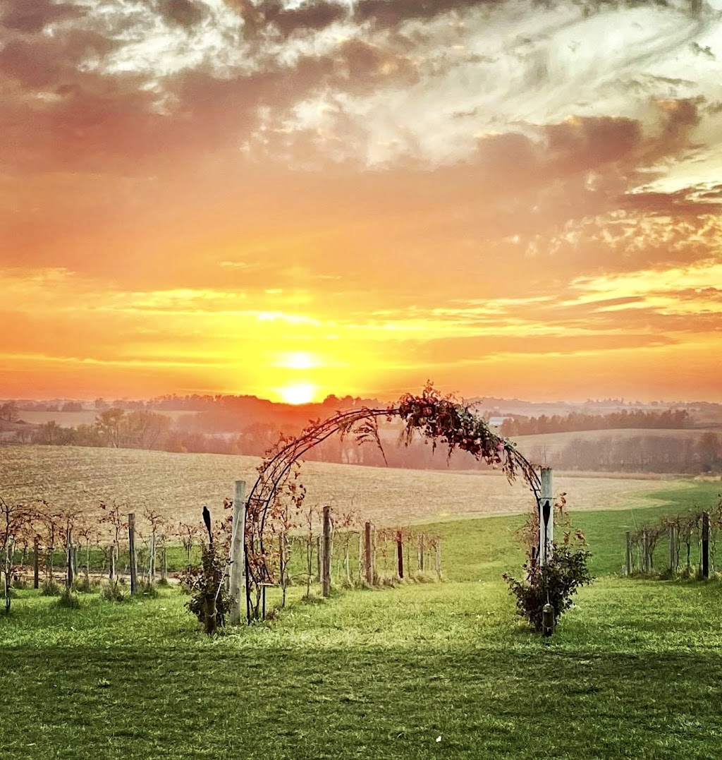 Walker Homestead Farm and Winery | restaurant | 3867 James Ave SW, Iowa City, IA 52246, USA | 3193514791 OR +1 319-351-4791