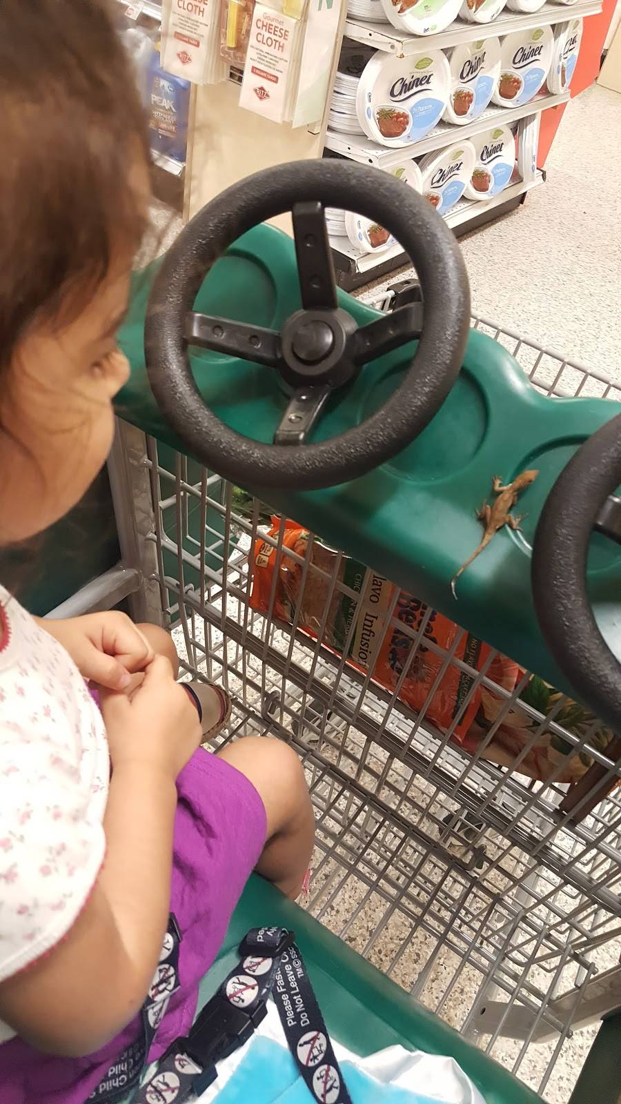 Hibernia Pavilion | shopping mall | 865 Hibernia Rd, Fleming Island, FL 32003, USA | 9045987000 OR +1 904-598-7000