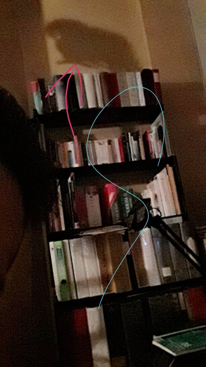 Pizza 2 Pointes | restaurant | 1070 Rue Provost, Lachine, QC H8S 1N2, Canada | 5146370637 OR +1 514-637-0637