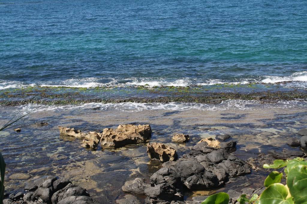 Subway | meal takeaway | 3700 Lapalco Blvd Unit F-1, Harvey, LA 70058, USA | 5043403871 OR +1 504-340-3871