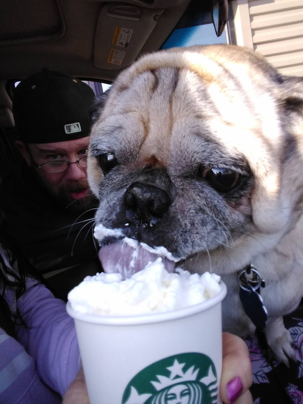 Starbucks | cafe | 3990 Central Park Blvd, Denver, CO 80238, USA | 3039178678 OR +1 303-917-8678