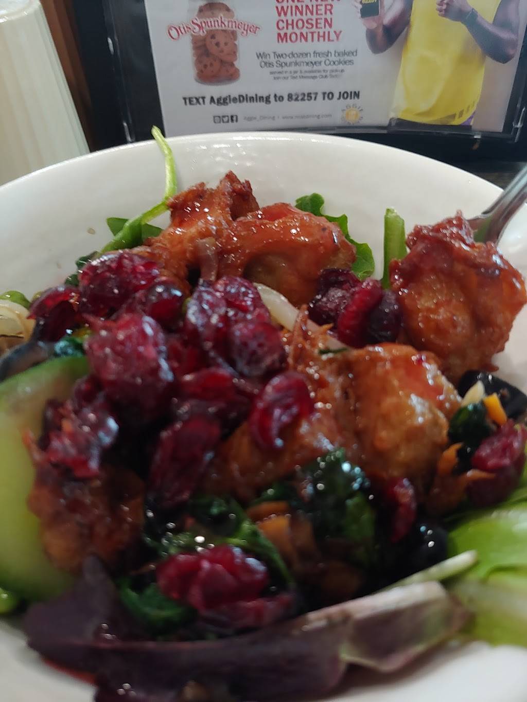 Williams Dining Hall | restaurant | 1601 E Market St, Greensboro, NC 27411, USA | 3363347560 OR +1 336-334-7560