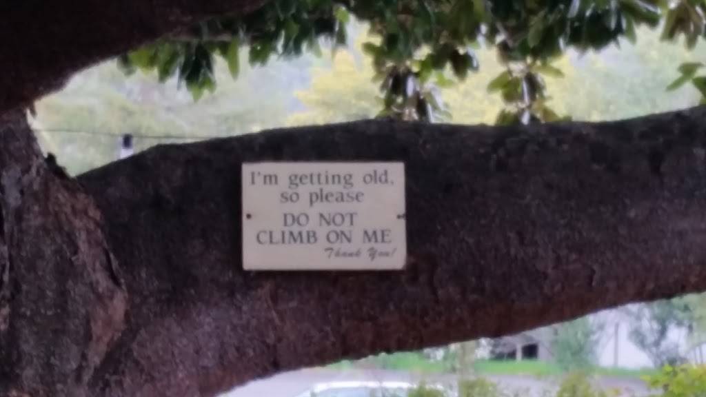 E-Saan Thai House | restaurant | 18629 CA-12, Sonoma, CA 95476, USA | 7079399077 OR +1 707-939-9077