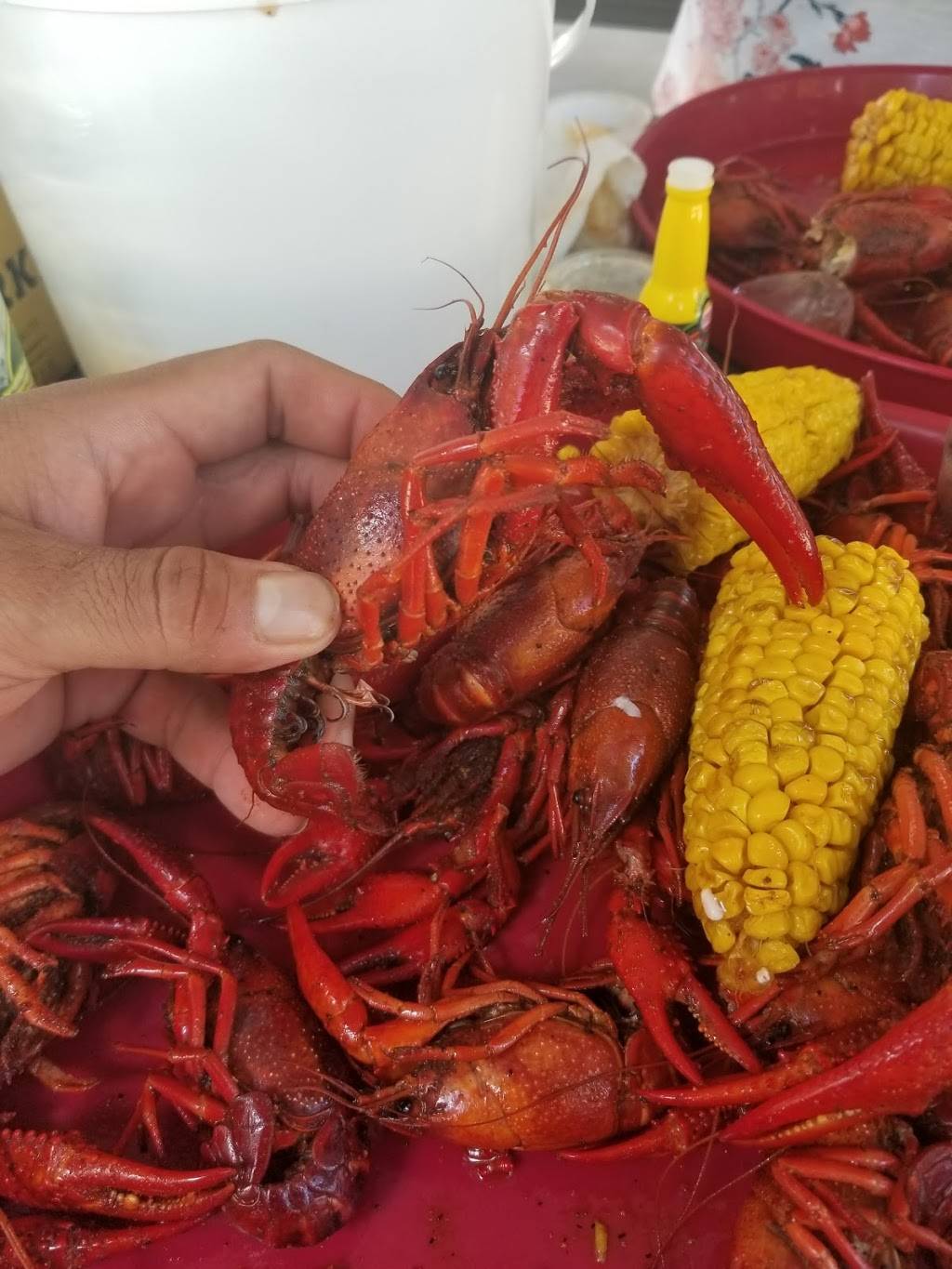 Red Tailz Crawfish | restaurant | 19705 TX-124, Beaumont, TX 77705, USA | 2816840033 OR +1 281-684-0033