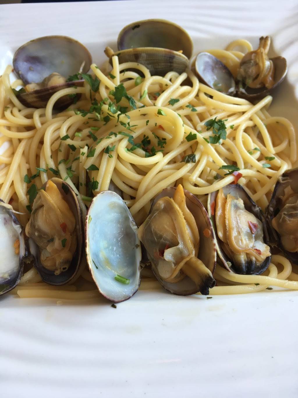 Vespucci | restaurant | 147 E 3rd Ave, San Mateo, CA 94401, USA | 6506856151 OR +1 650-685-6151