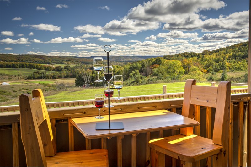 Petoskey Farms Vineyard & Winery | restaurant | 3720 Atkins Rd, Petoskey, MI 49770, USA | 2312909463 OR +1 231-290-9463