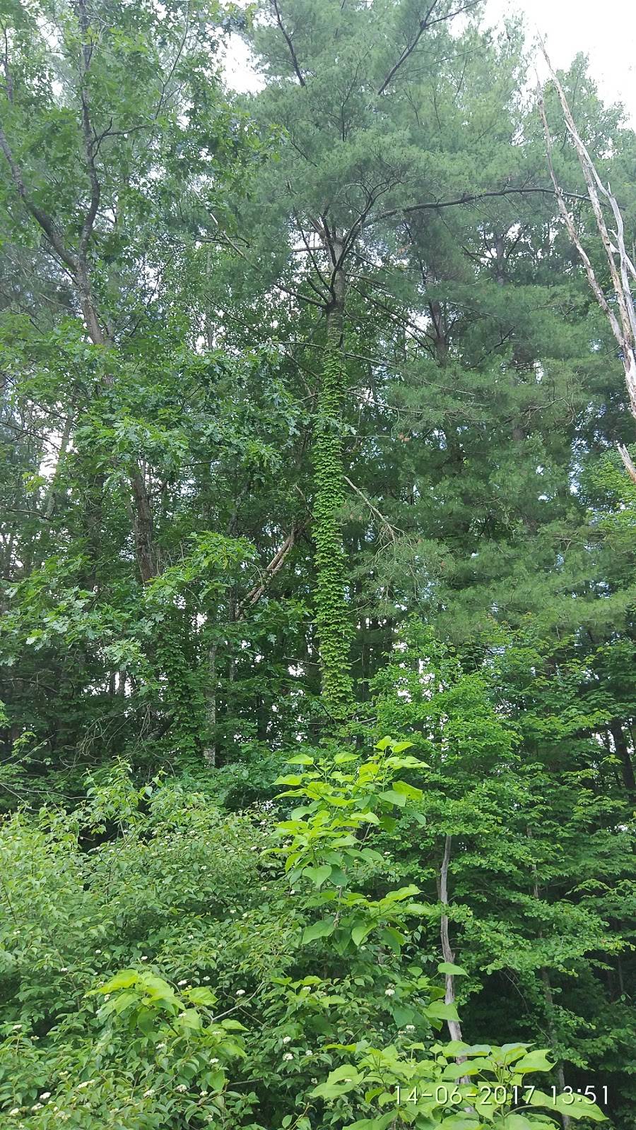 Five Guys | meal takeaway | 1000 N Eisenhower Parkway, Beckley, WV 25801, USA | 3042500660 OR +1 304-250-0660