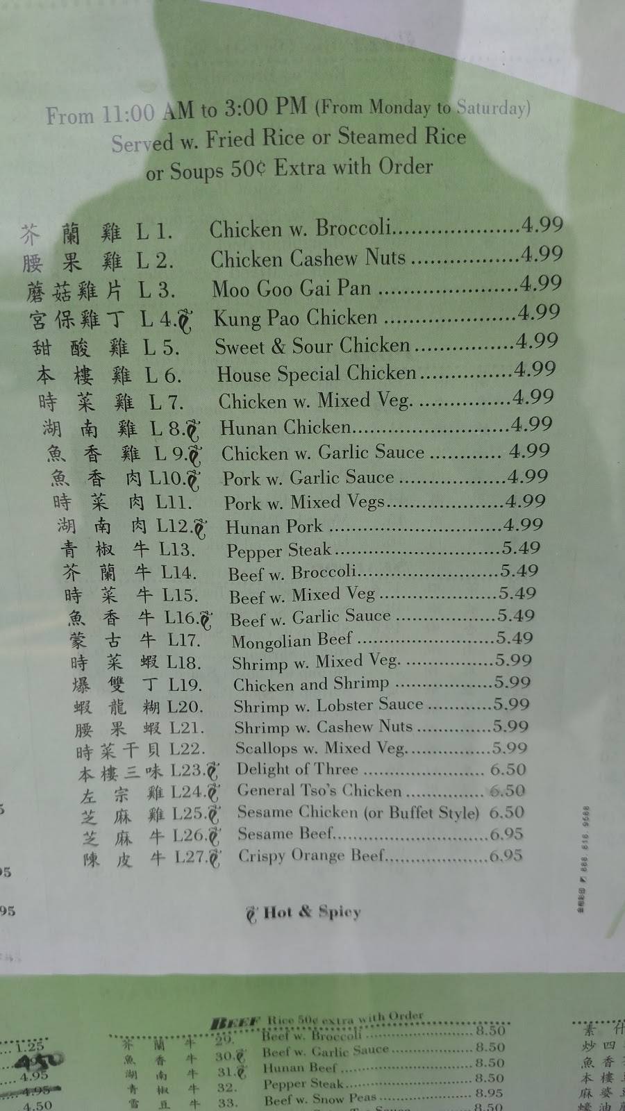Hunan Palace | restaurant | 4873 OH-125, Georgetown, OH 45121, USA | 9373784911 OR +1 937-378-4911