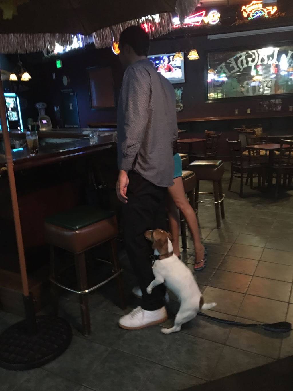 Gallaghers Dublin Pub | night club | 7821 Amador Valley Blvd, Dublin, CA 94568, USA | 9258285996 OR +1 925-828-5996