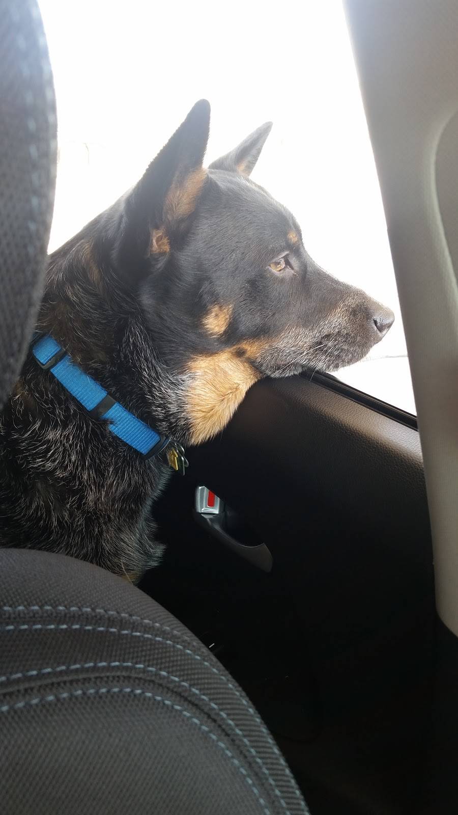 McDonalds | cafe | 638 Hwy 8, Turtle Lake, WI 54889, USA | 7159864419 OR +1 715-986-4419