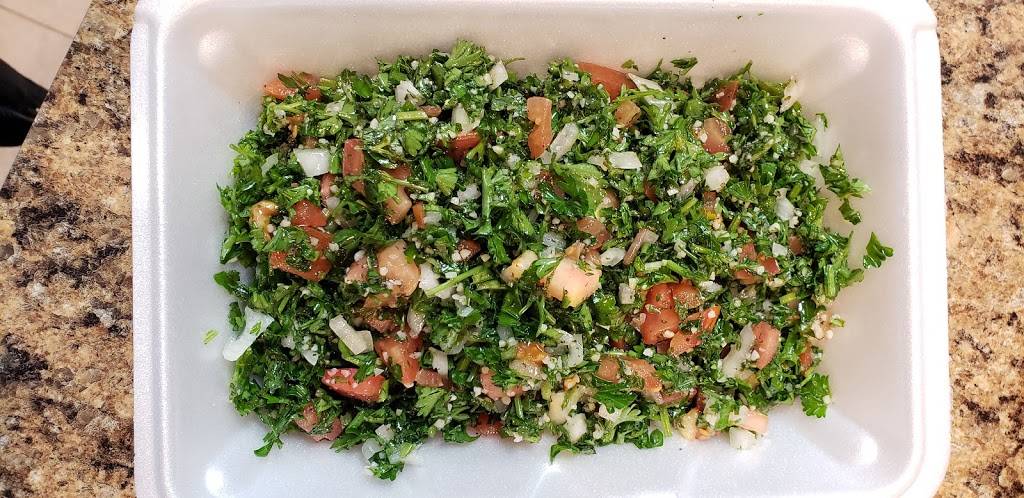 Troy Kabob | restaurant | 4977 Livernois Rd, Troy, MI 48098, USA | 2482509065 OR +1 248-250-9065