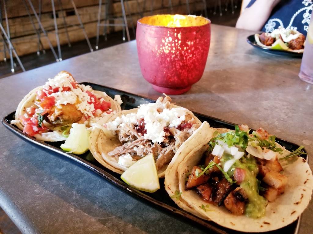 Chivo Taqueria | restaurant | 314 S Gay St, Knoxville, TN 37902, USA | 8654443161 OR +1 865-444-3161