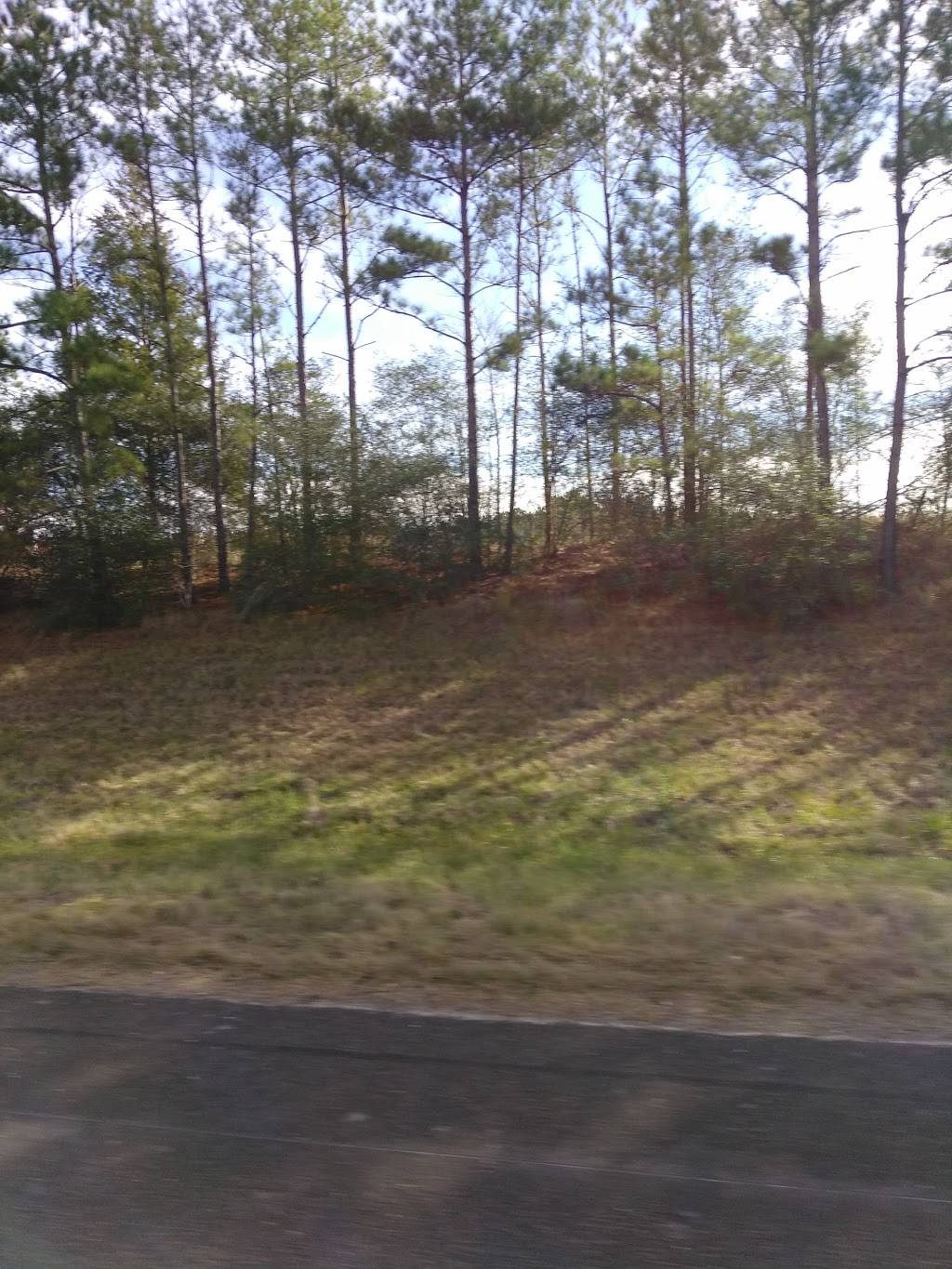 Big jakes | restaurant | 16519 US-59, Moscow, TX 75960, USA | 9363984100 OR +1 936-398-4100