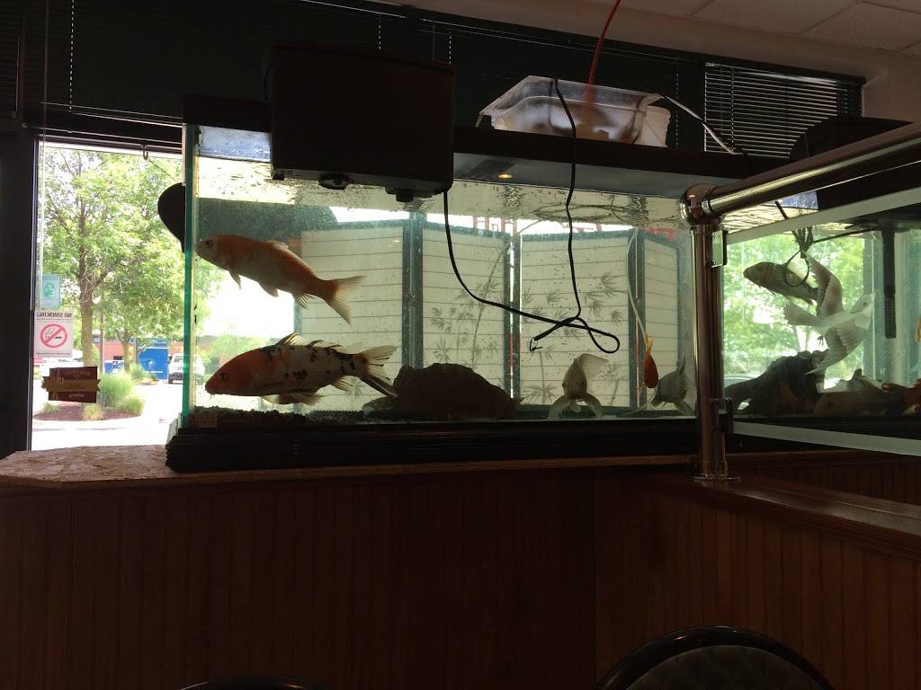 China King | restaurant | 2145 S Neil St, Champaign, IL 61820, USA | 2173518885 OR +1 217-351-8885