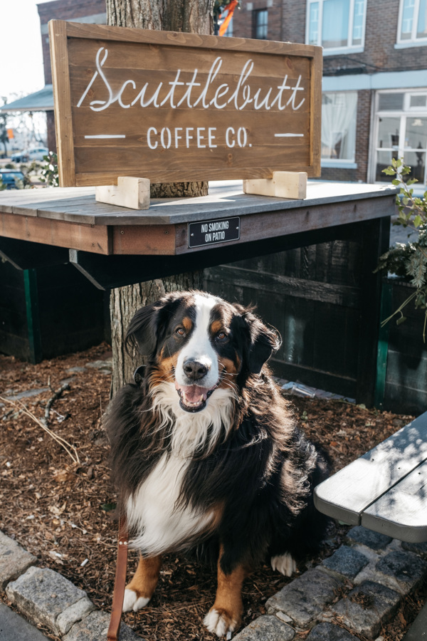 Scuttlebutt Coffee Company | restaurant | 2301 Purchase St Unit 1, New Bedford, MA 02746, USA | 5082073039 OR +1 508-207-3039