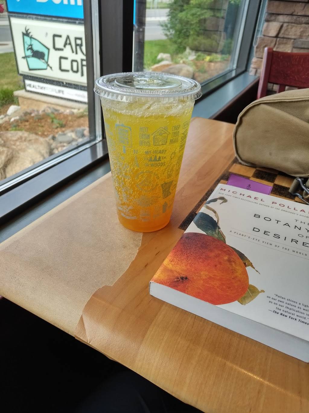 Caribou Coffee | cafe | 5551 W Lake St, St Louis Park, MN 55416, USA | 9529299536 OR +1 952-929-9536