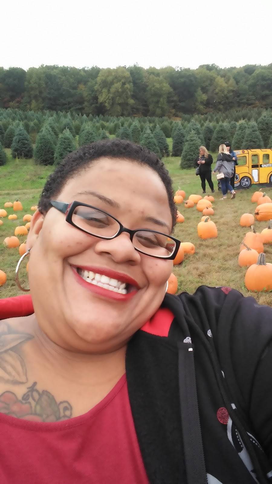 Pigout Roasting | restaurant | 1155 Strohls Valley Rd, Lehighton, PA 18235, USA | 6106816738 OR +1 610-681-6738