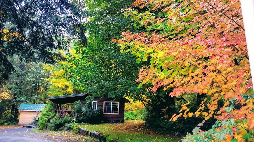 Copper Creek Inn & Restaurant | restaurant | 35707 WA-706, Ashford, WA 98304, USA | 3605692799 OR +1 360-569-2799