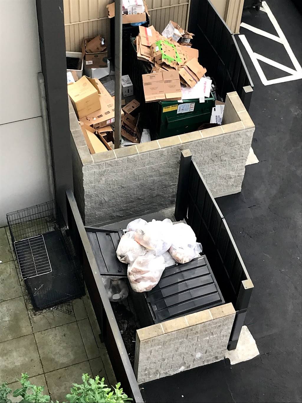 The Habit Burger Grill | restaurant | 3501 SW Avalon Way, Seattle, WA 98126, USA | 2069322186 OR +1 206-932-2186