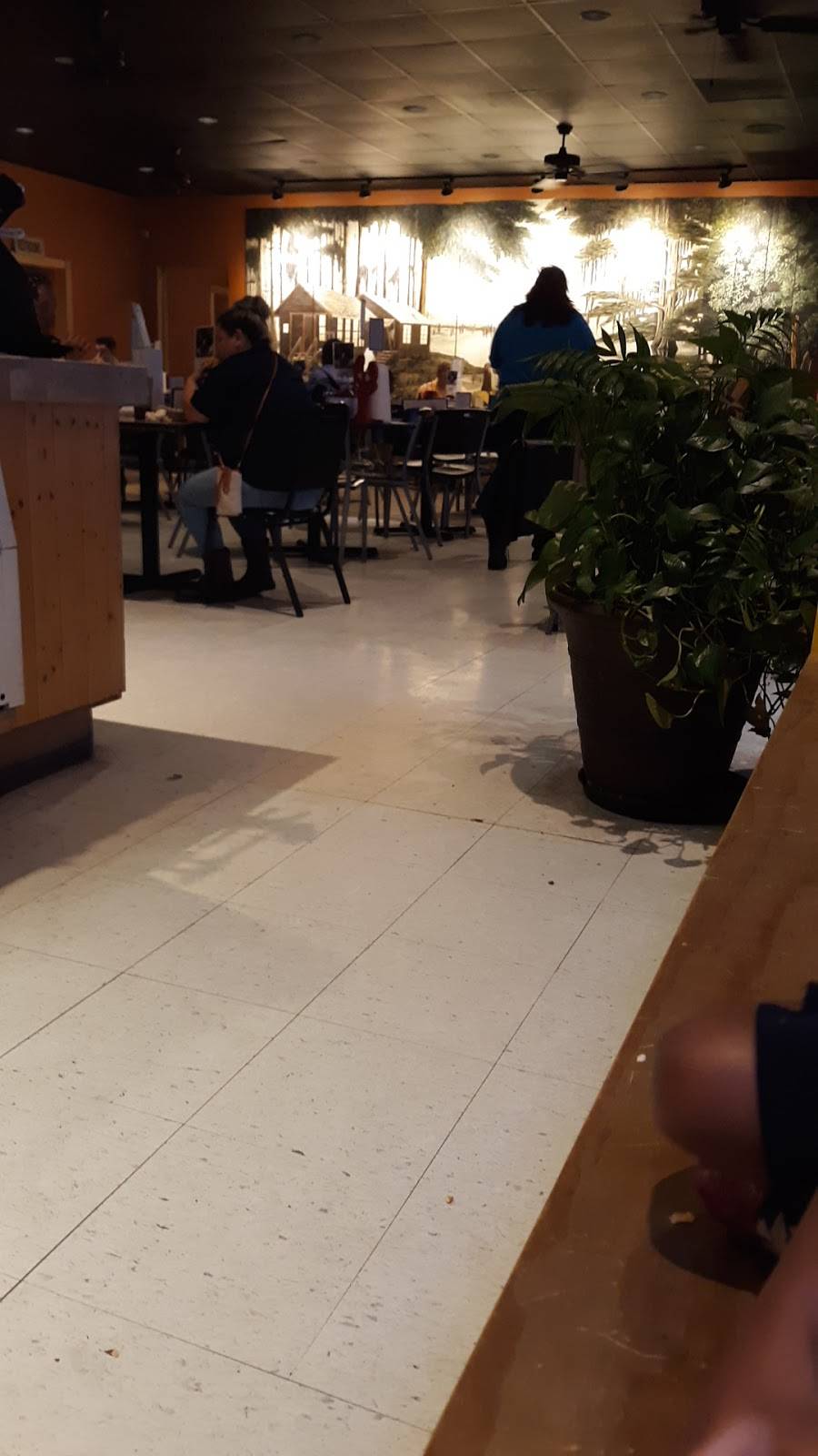 Pier 51 Seafood Restaurant & Oyster Bar | restaurant | 3017 New Highway 51, Laplace, LA 70068, USA | 9856510300 OR +1 985-651-0300