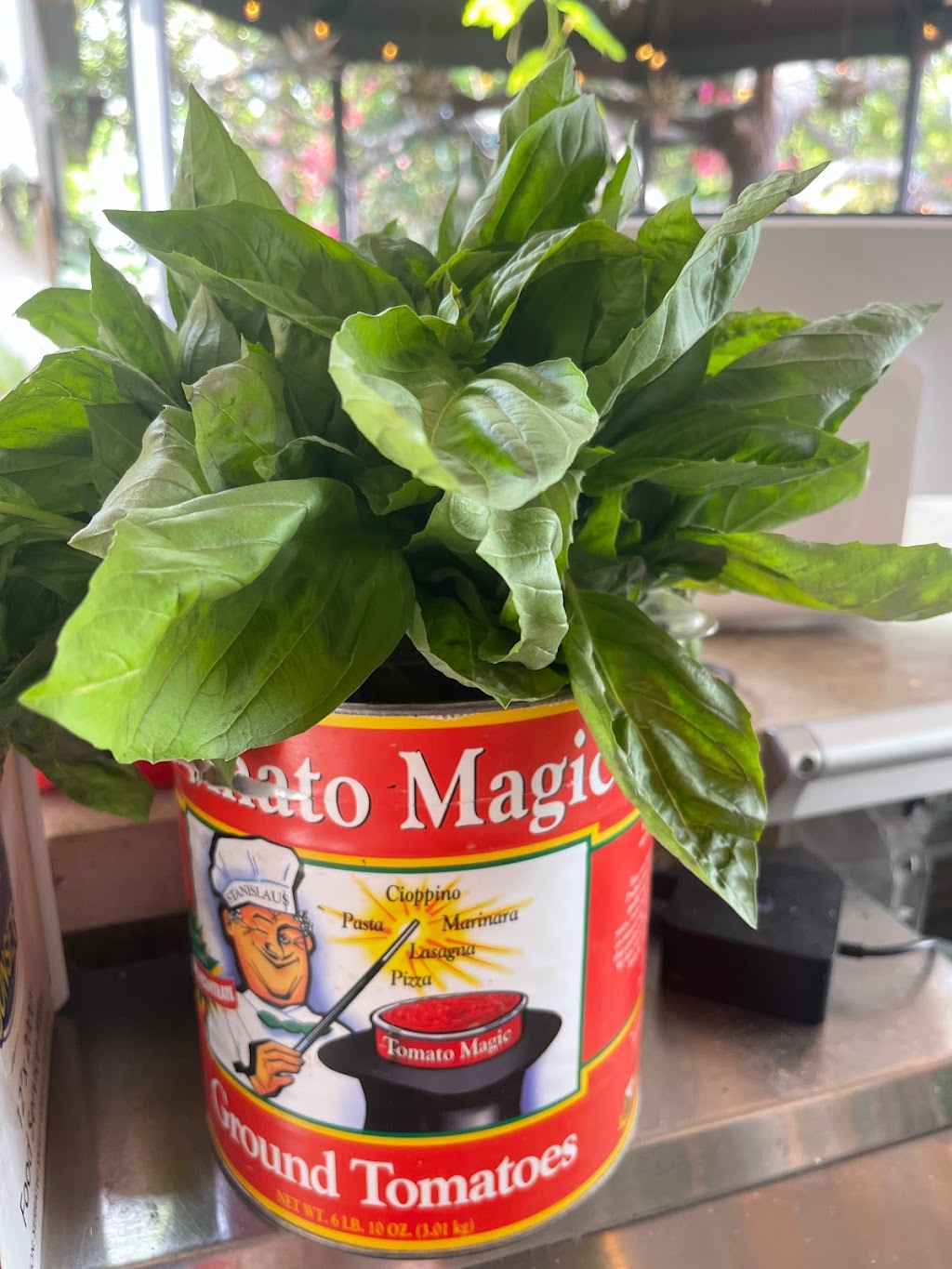 Market Pizza by Drew Butler | restaurant | 4065 Jackson Ave, Culver City, CA 90232, USA | 3103510698 OR +1 310-351-0698