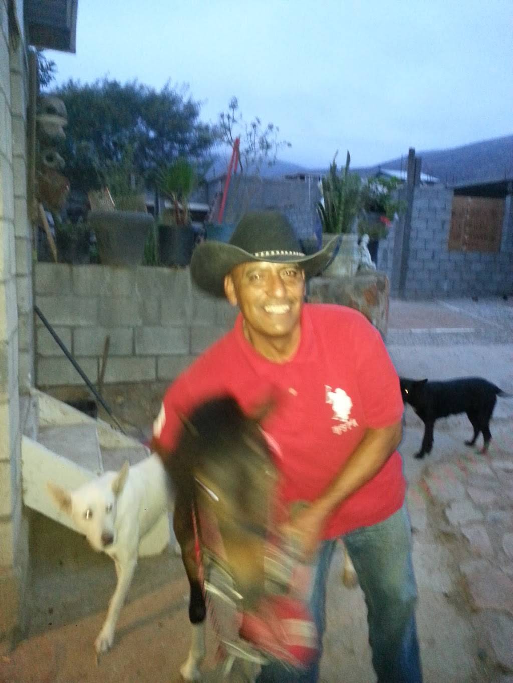 Carnitas Cubanas | restaurant | 4, Marcelo Raygoza 68, Mariano Matamoros (Norte, 22203 Tijuana, B.C., Mexico | 016642695056 OR +52 664 269 5056