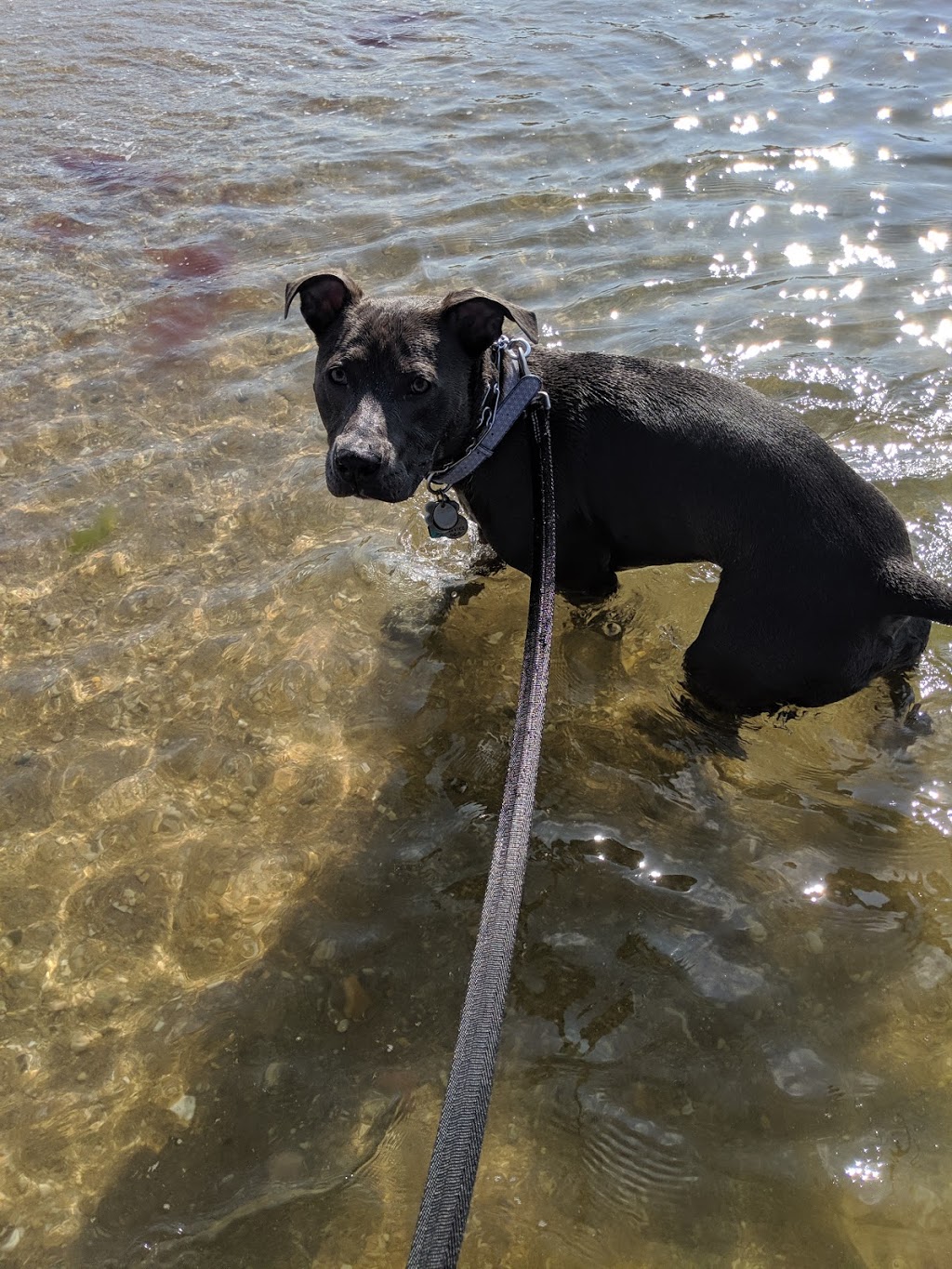Pavilion at Sunken Meadow | restaurant | Sunken Meadow State Park, Kings Park, NY 11754, USA | 6312696850 OR +1 631-269-6850
