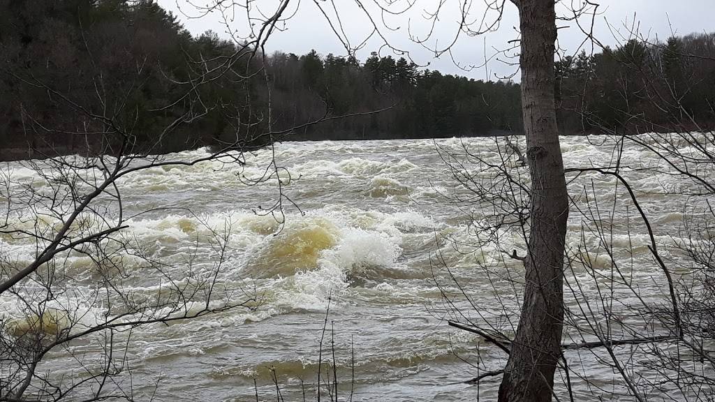 Pizzeria Alonzo Plus | restaurant | 2 Avenue du Pont unit 3, Gatineau, QC J8V 1E5, Canada | 8195684141 OR +1 819-568-4141