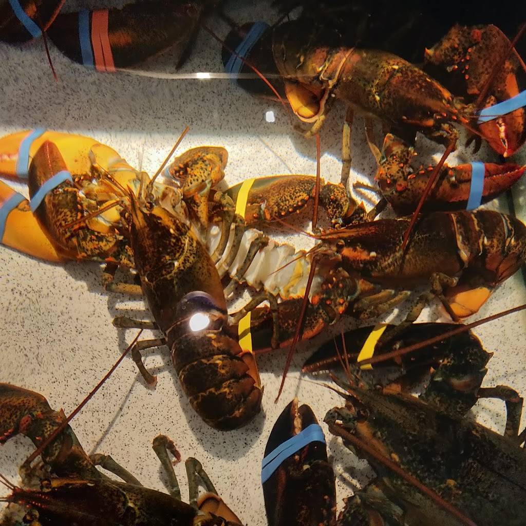 Red Lobster | restaurant | 928 W Huntington Dr, Monrovia, CA 91016, USA | 6263019225 OR +1 626-301-9225