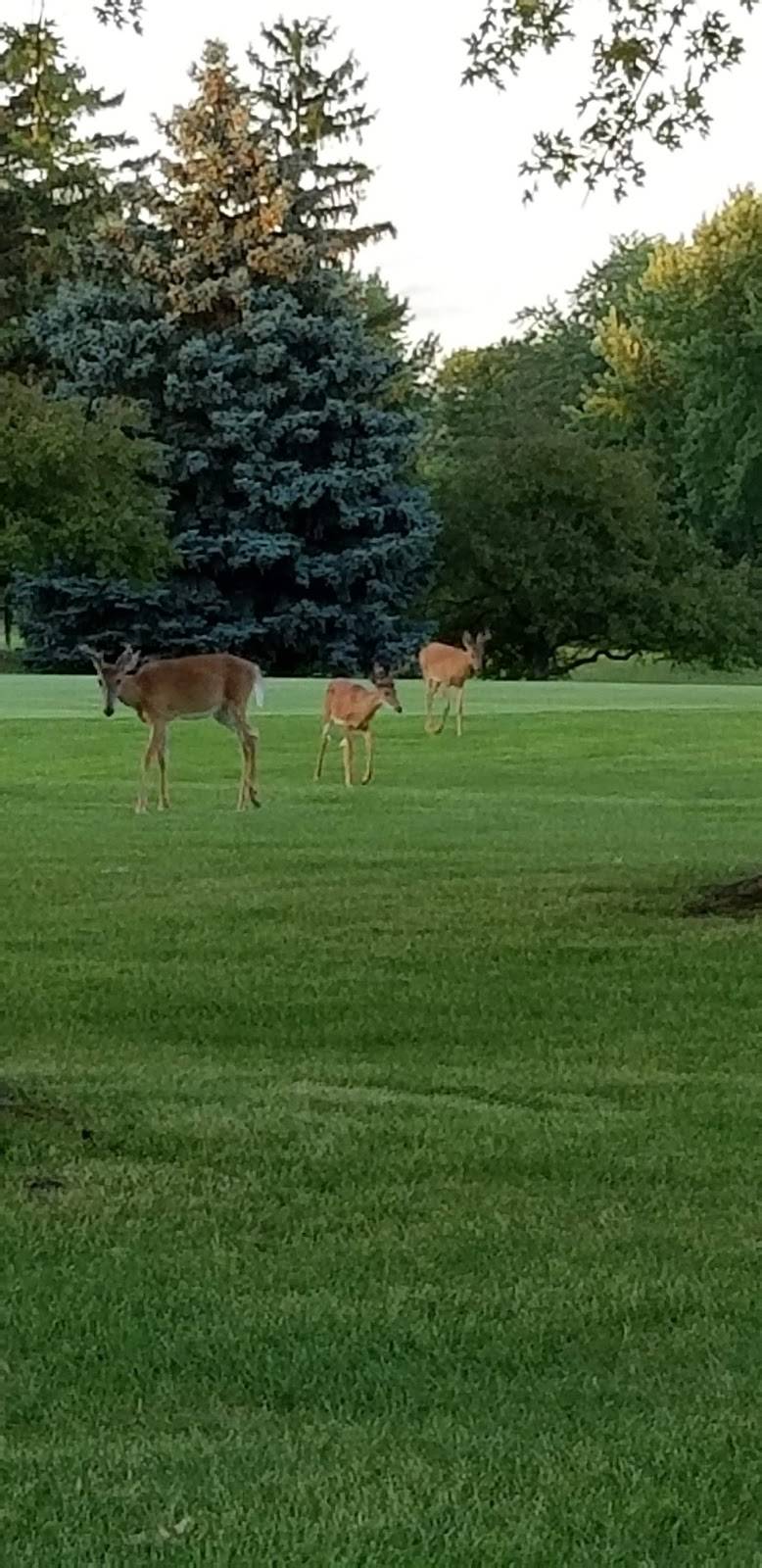 Grandview Golf Course | restaurant | 135 John St, Hortonville, WI 54944, USA | 9207796421 OR +1 920-779-6421