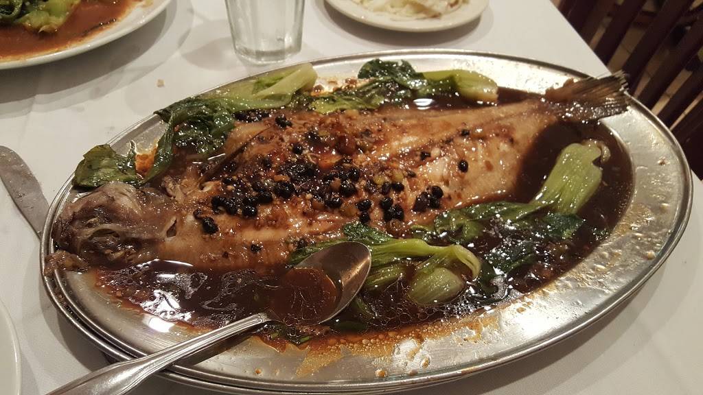 Shanghai City | restaurant | 7860 Glades Rd, Boca Raton, FL 33434, USA | 5614821291 OR +1 561-482-1291