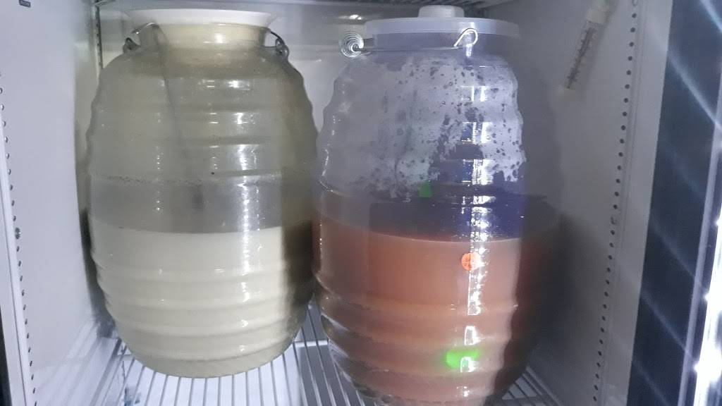 Titas Mexican Restaurant | restaurant | 636Rosencrans, Chaparral, NM 88081, USA | 9152087634 OR +1 915-208-7634