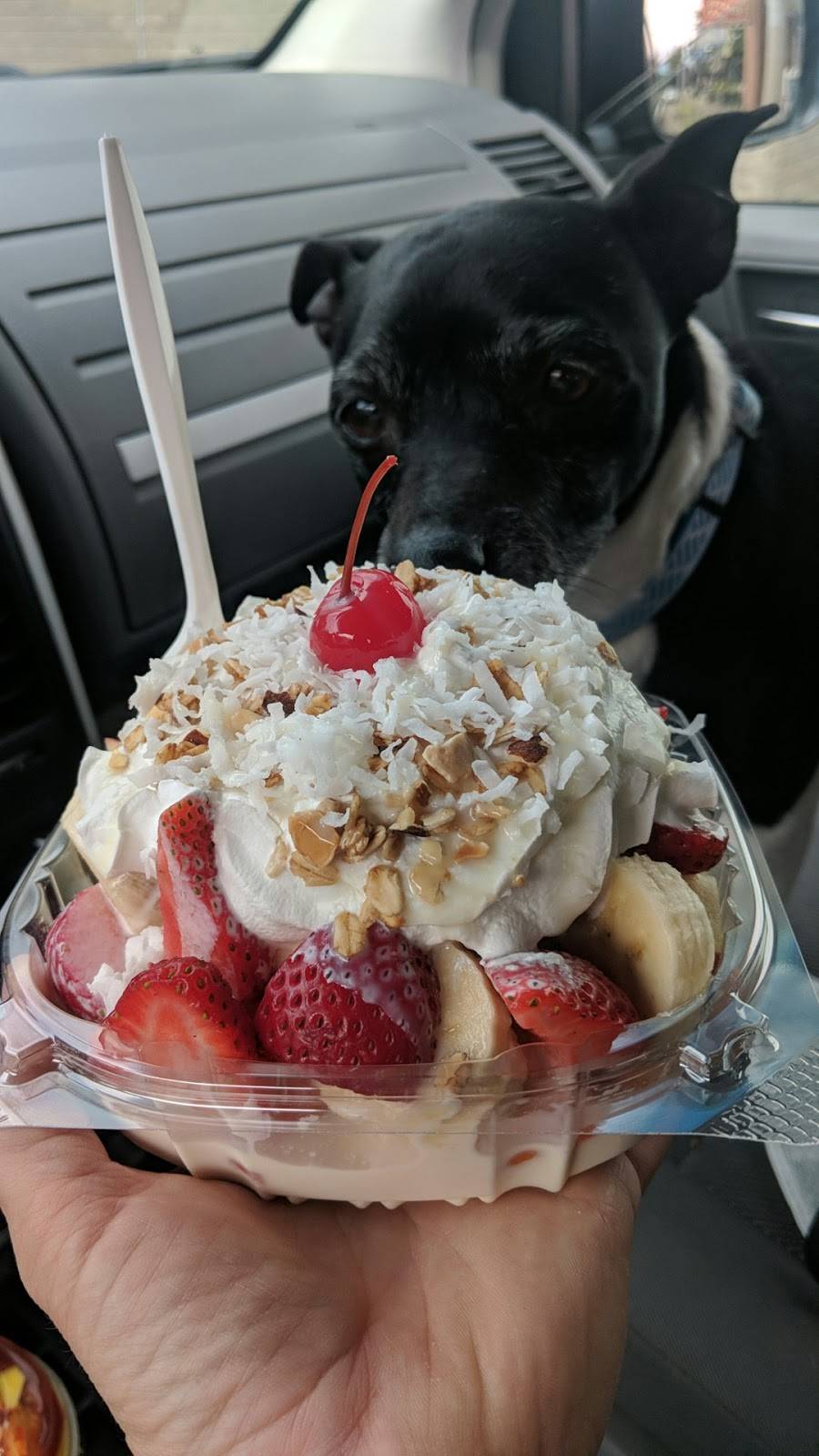 Las Delicias Del Sabor | meal takeaway | 866 15th Ave, Longview, WA 98632, USA | 3604232432 OR +1 360-423-2432