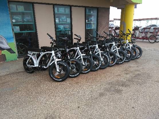 Elite Surf&Bike Rentals | meal takeaway | 4120 Seawall Blvd, Galveston, TX 77550, USA | 4094574797 OR +1 409-457-4797