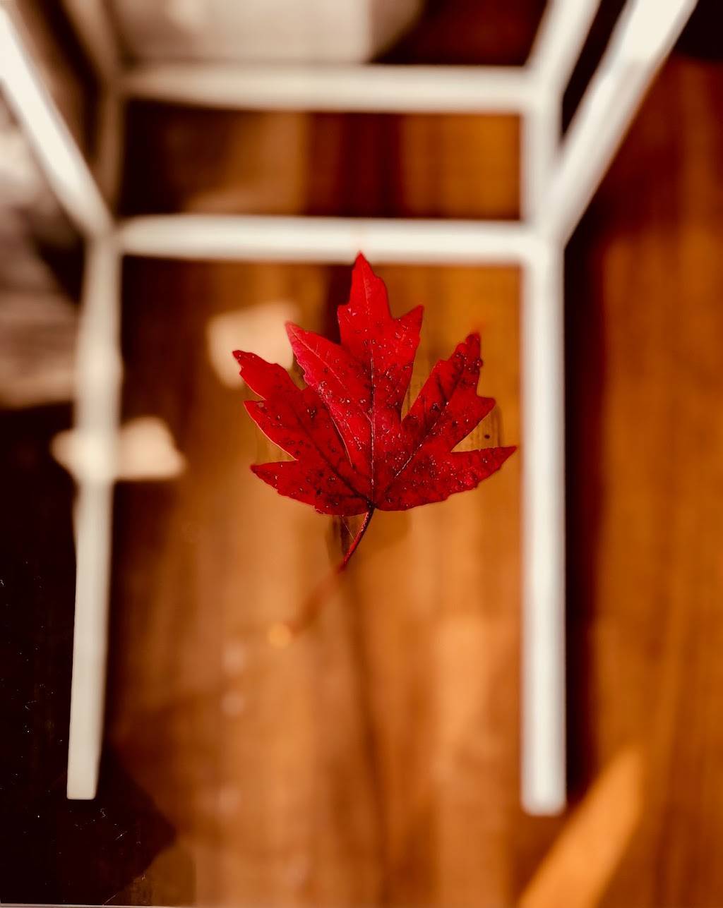 Subway | restaurant | 7501 Goodman Rd, Olive Branch, MS 38654, USA | 6628959450 OR +1 662-895-9450