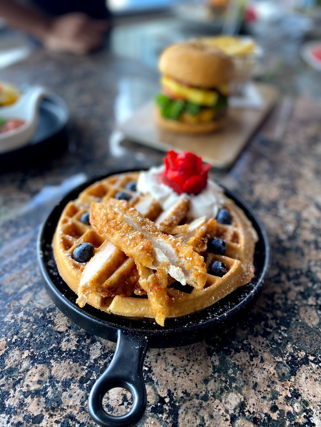 Hookah Exotix - Casablanca Hotel | restaurant | 6345 Collins Ave, Miami Beach, FL 33141, USA | 7868053448 OR +1 786-805-3448