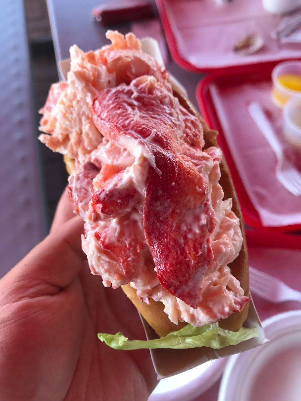 LOBSTER POT | restaurant | 3155 Cranberry Hwy, East Wareham, MA 02538, USA | 5087593876 OR +1 508-759-3876