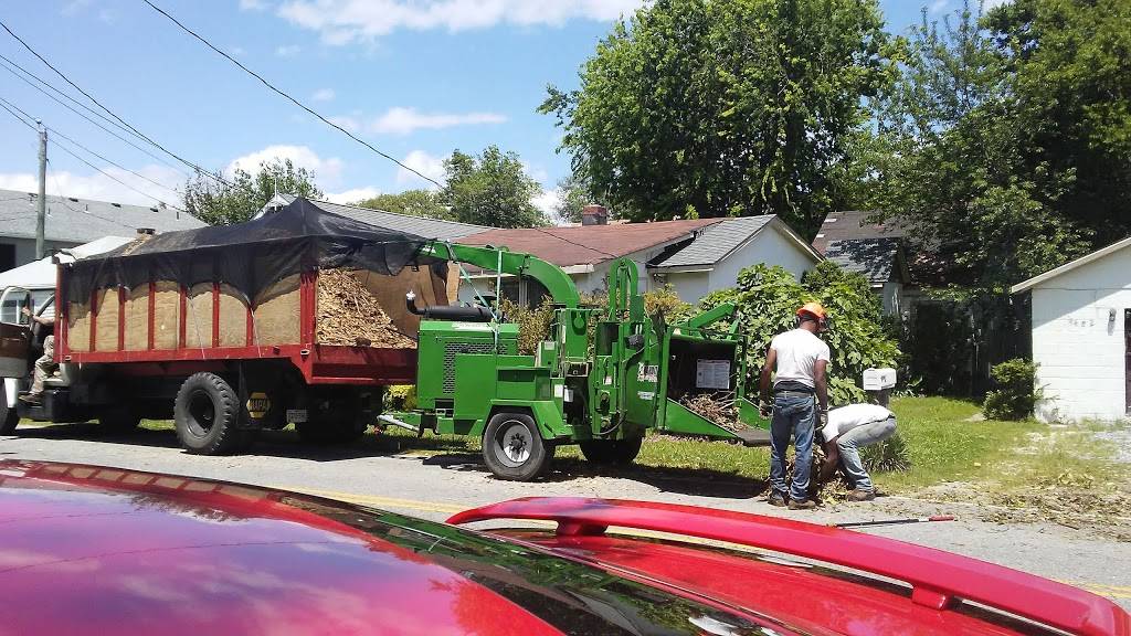 Zia Marie Restaurant | restaurant | 4497 Lookout Rd, Virginia Beach, VA 23455, USA | 7574600715 OR +1 757-460-0715