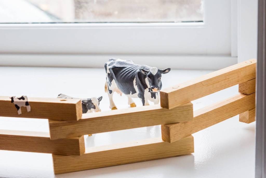 CannonBelles Coffee & Ice Cream | cafe | 402 Mill St W, Cannon Falls, MN 55009, USA | 5077571155 OR +1 507-757-1155