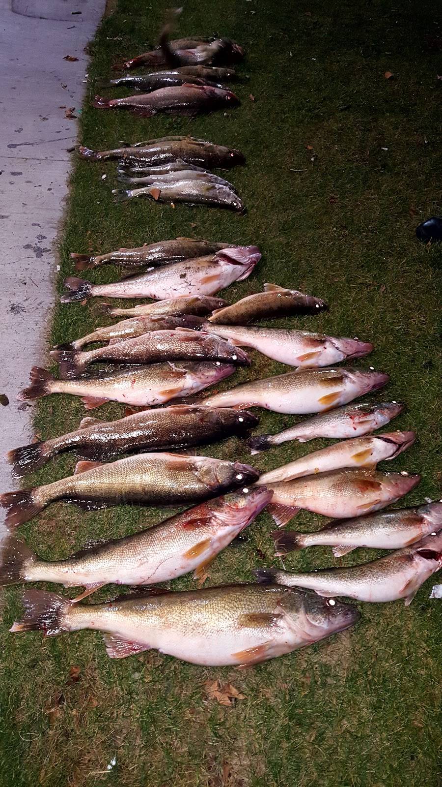 East 55th on the Lake | restaurant | 5555 N Marginal Rd, Cleveland, OH 44114, USA | 2164313280 OR +1 216-431-3280