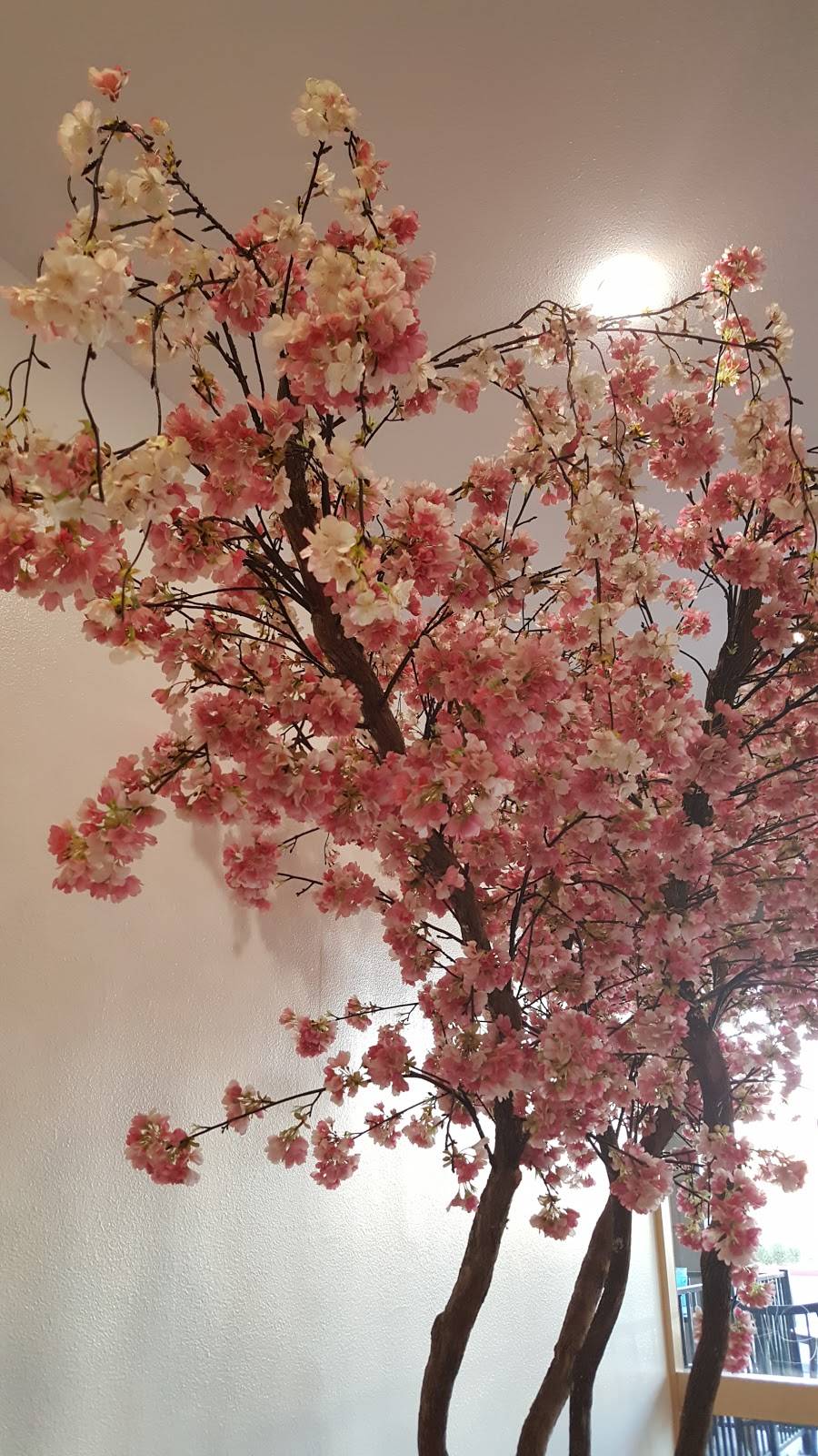 Big Juice Bar | restaurant | 35947 Date Palm Dr, Cathedral City, CA 92234, USA | 7604593334 OR +1 760-459-3334