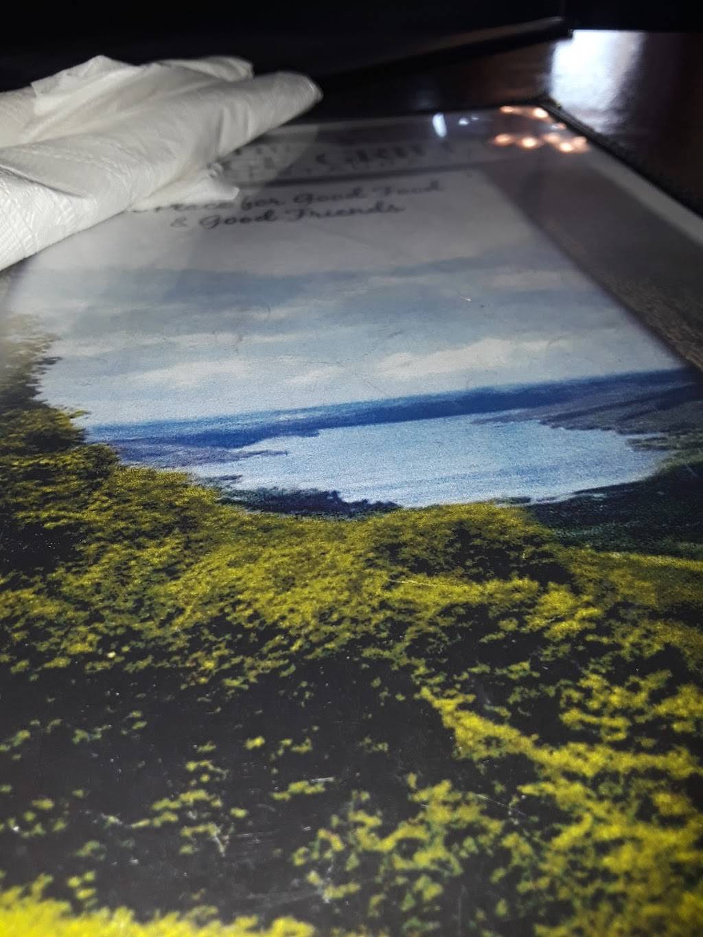 Village Grill | restaurant | 8639 Main St, Honeoye, NY 14471, USA | 5852294002 OR +1 585-229-4002