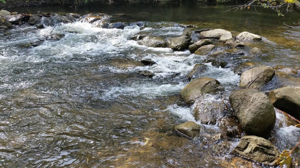 OSheas BBQ | restaurant | 543 N Main St #201, Rochester, MI 48307, USA | 2488411491 OR +1 248-841-1491