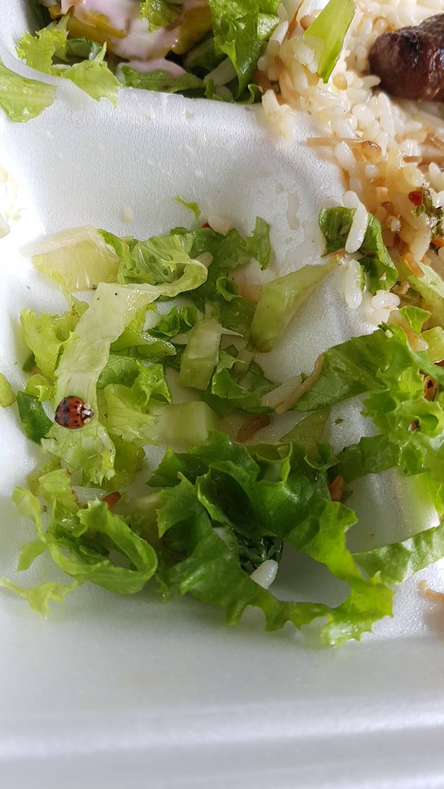 Amir | restaurant | 5773 Boul Gouin O, Montréal, QC H4J 1E3, Canada | 5143322647 OR +1 514-332-2647