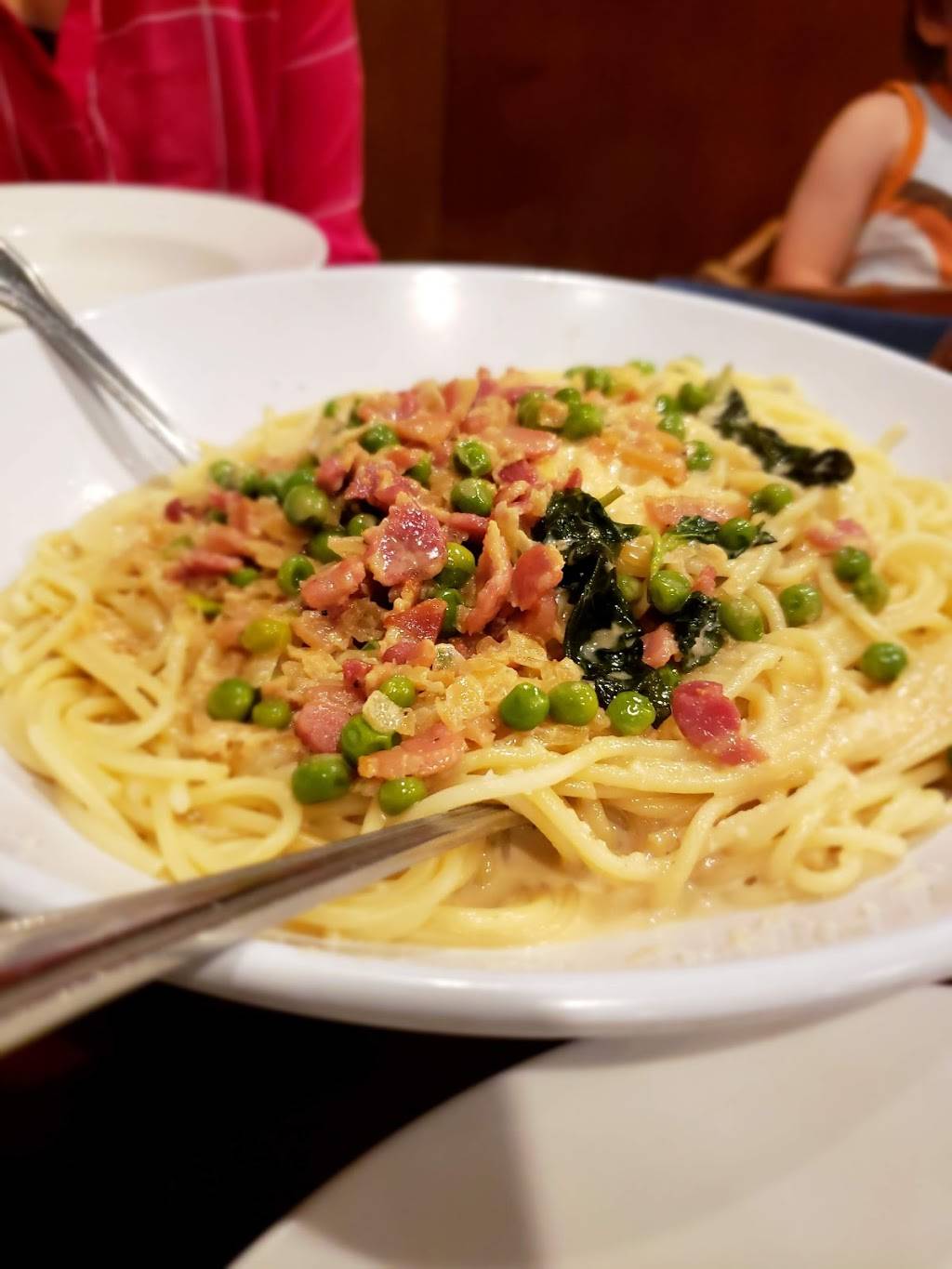 Catania Restaurant | restaurant | 4115 FL-7 suite z, Wellington, FL 33449, USA | 5613555900 OR +1 561-355-5900