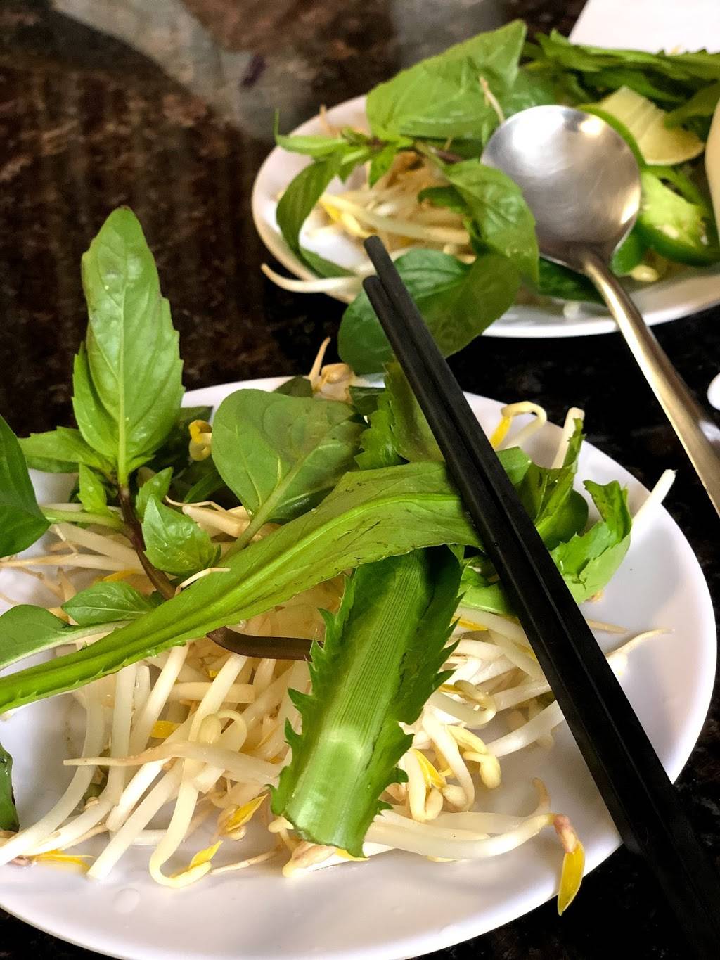 Pho Nhu Trang | restaurant | 3698 W Waters Ave, Tampa, FL 33614, USA | 8139356163 OR +1 813-935-6163