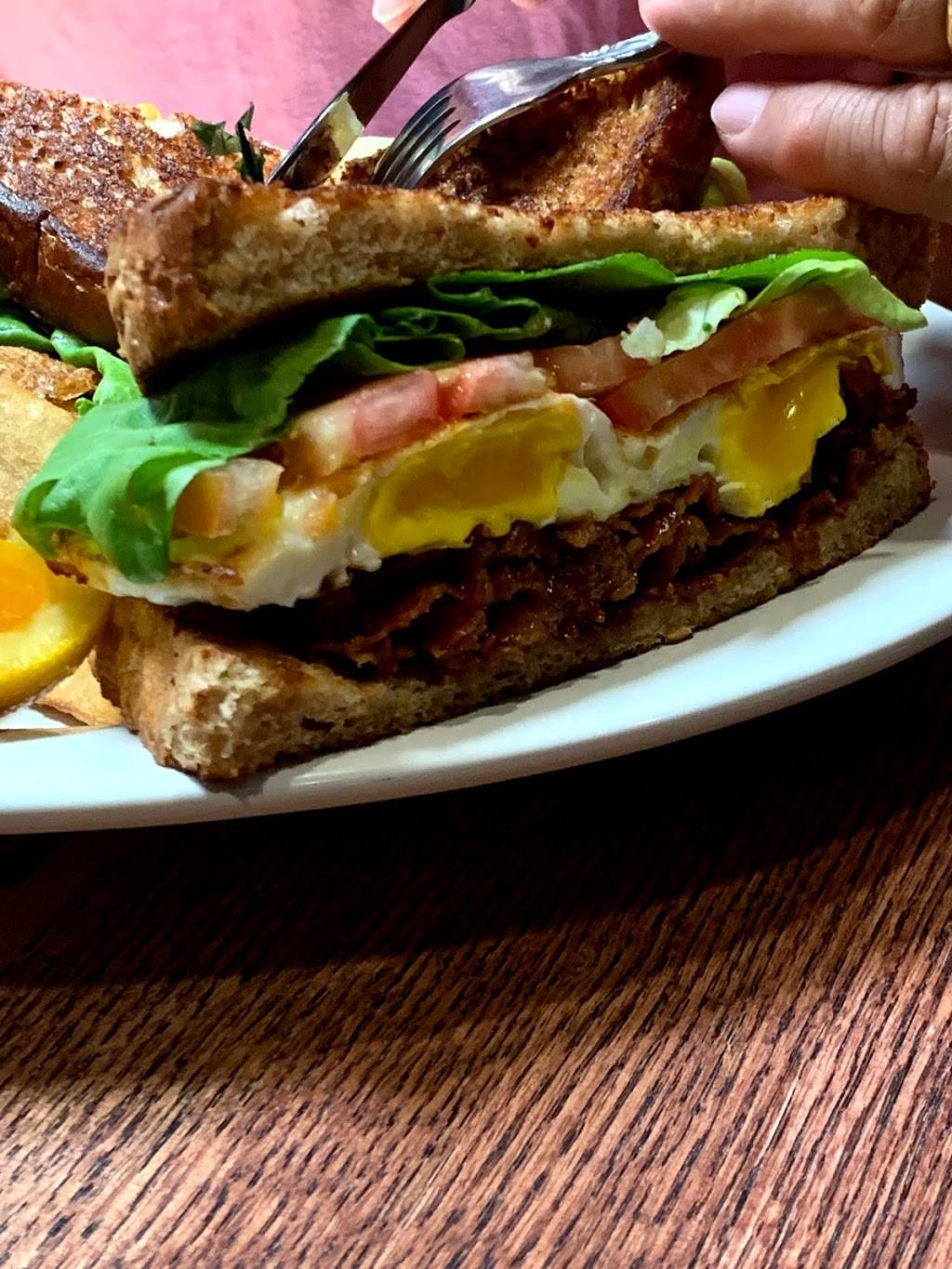 Brown Hound Downtown | restaurant | 500 University Ave, Rochester, NY 14607, USA | 5855069725 OR +1 585-506-9725